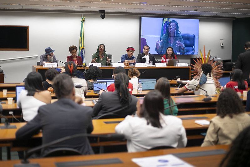 PL de Cotas: debate liderado por Carol Dartora expõe impacto do racismo na exclusão salarial