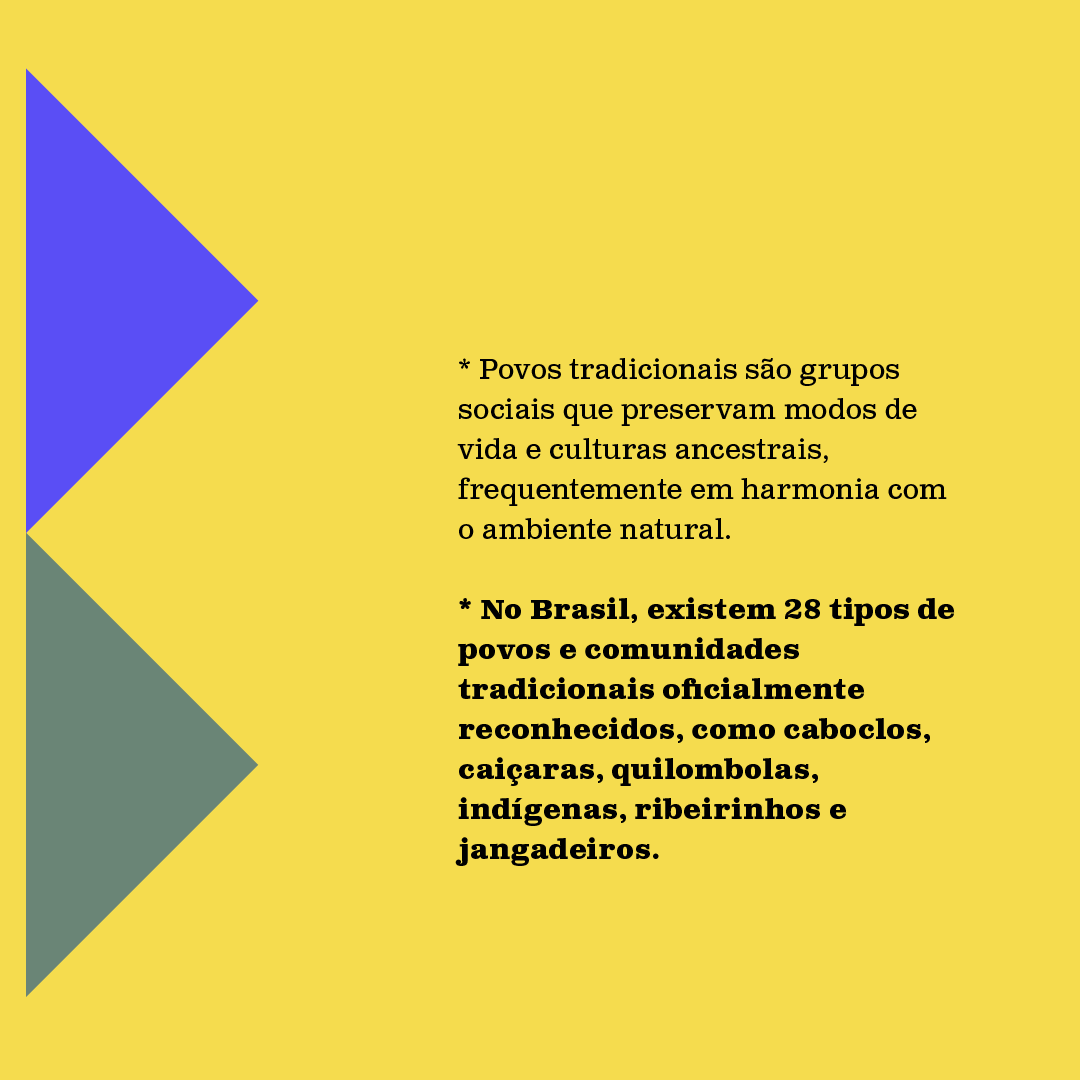 Carol Dartora luta contra pedágios: texto protege comunidades tradicionais e impõe regras rígidas