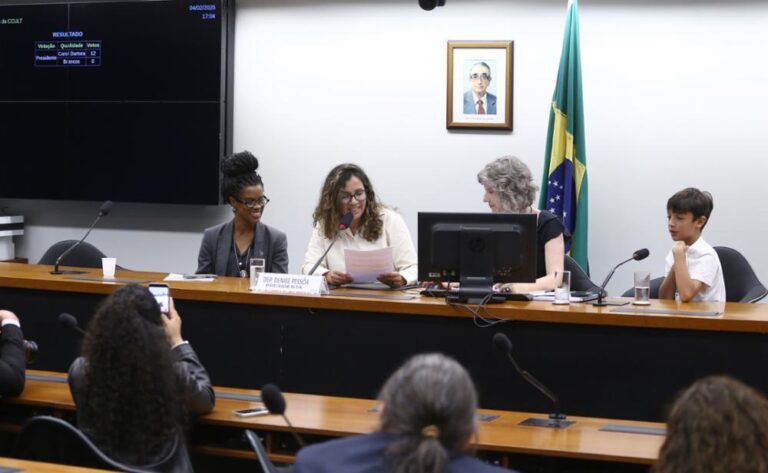Deputada Carol Dartora é eleita presidenta da Comissão de Cultura